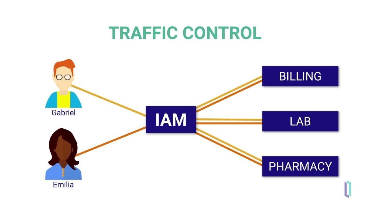 What is InterSystems API Manager?
