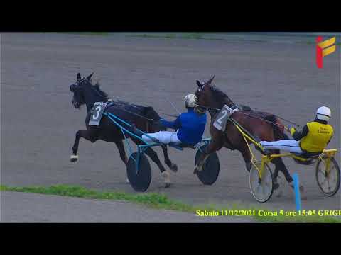 V Corsa del 11 Dicembre 2021 - 4 Anni - Metri 1600 - Gentlemen