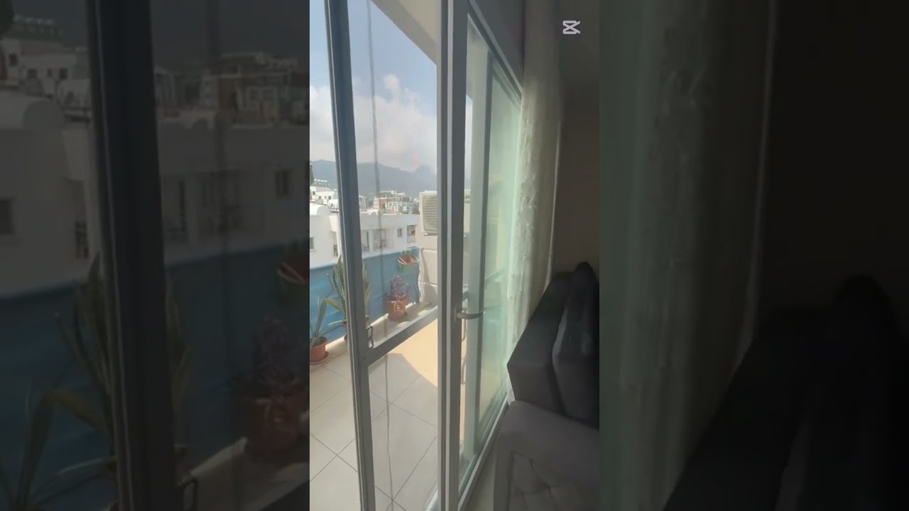 video image