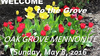 Oak Grove Message 05082016