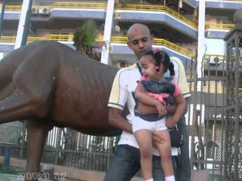 Rawda karar birthday