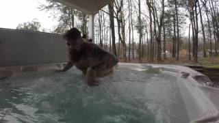 "Ynot...ASS" WNP Fantasy Football League Playoffs Semifinals