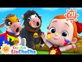 La Vaca Lola De Colores Canción De La Granja LiaChaCha En Español Canciones Infantiles