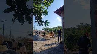 mais uma etapa concluída com sucesso 🙌🏡 piso na casinha  #recantojoaopaulo ##nossocantinhodepaz