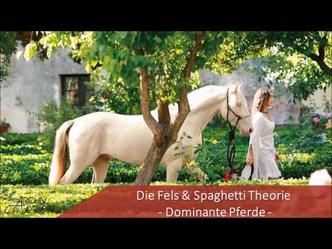 Dominante Pferde - Die Fels & Spaghetti Theorie - "Kenzie antwortet Session"