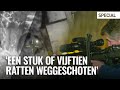 Jos jaagt op ratten: "Schieten is humaner dan klem"