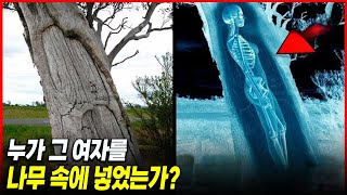 Download lagu [실제사건] 충격적이지만 아직 풀리지 않은 미스터리 발견, 나무 줄기 속에 세로로 끼워 넣어진 채 숨진 여성 사건 mp3