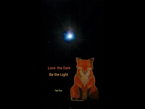 Blacktooth Fox G.G.P #5 dragged out of my bed by the notion of chemical loneliess