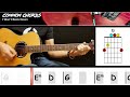 I Won't Back Down - Tom Petty | GUITAR LESSON | Common Chords