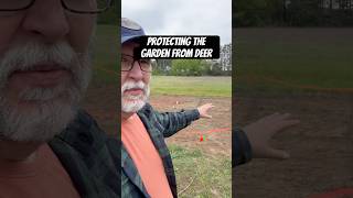Keeping deer, dogs & rabbits out of our garden at our off-grid homestead