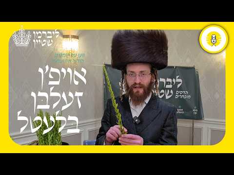 Liberman hadassim - The Perlowitz Show