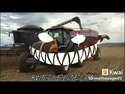 Proposta Louca- MC Rahell  Max e Luan