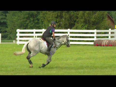Equestrian Team Jumping in the Olympics