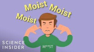 Why People Hate The Word ‘Moist’ So Much