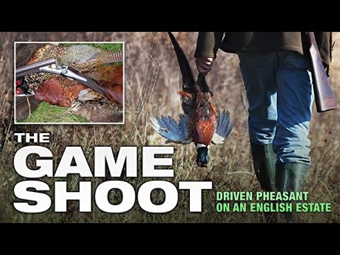 The Game Shoot: Driven Pheasant on an English Estate
