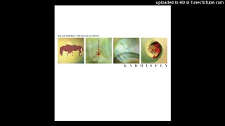 Kaddisfly - A Message to The Flat Earth Society