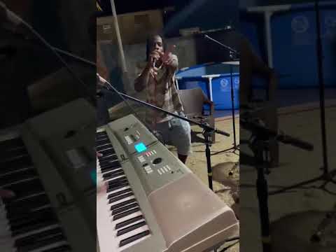 Fry chicken, Fry rice Breast