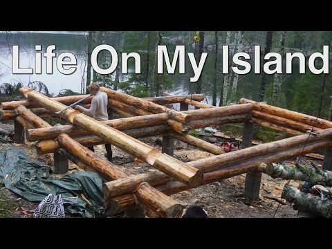 Island Life With My Dog, Building a Log Cabin