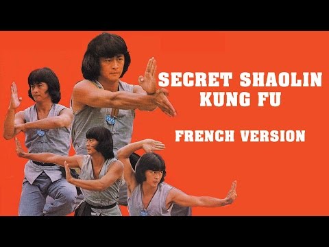 Wu Tang Collection - Secret Shaolin Kung Fu (French Version)