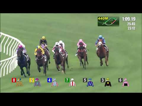 27/3/2022 (531) My Sugar - Jerry Chau