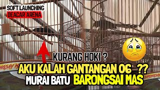 Download lagu INILAH AKSI MURAI BATU BARONGSAI MAS😱GANTANGAN O6 YANG LAGI VIRAL KURANG HOKI❓🔥DE'ACAR ARENA mp3 Download lagu INILAH AKSI MURAI BATU BARONGSAI MAS😱GANTANGAN O6 YANG LAGI VIRAL KURANG HOKI❓🔥DE'ACAR ARENA mp3