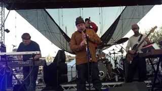 808 State Perform Pacific State @ Vegfest Bristol 2013