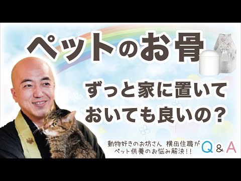 自宅で犬の骨を作る