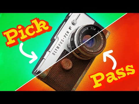 We Went Thrifting for Film Cameras