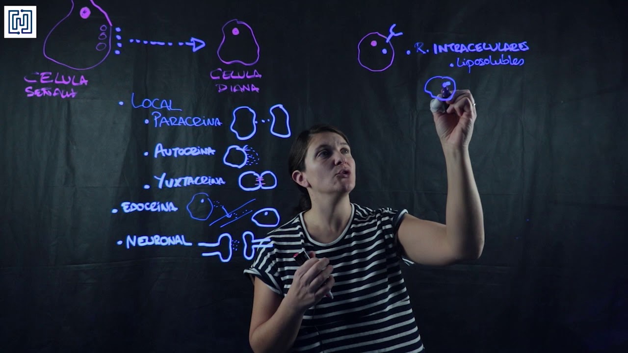 señalización celular