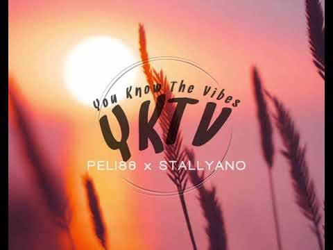 You Know The Vibe - Peli⁸⁶ x Stallyano