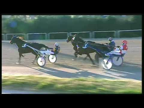 Trotto 07/02/2020 - 4ª corsa