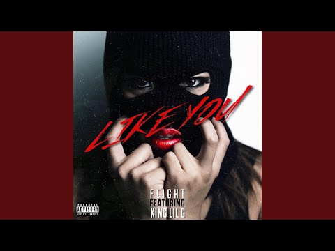 Like You (feat. King Lil G)
