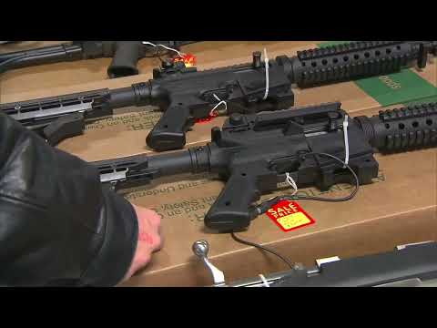 NY Files Gun Laws