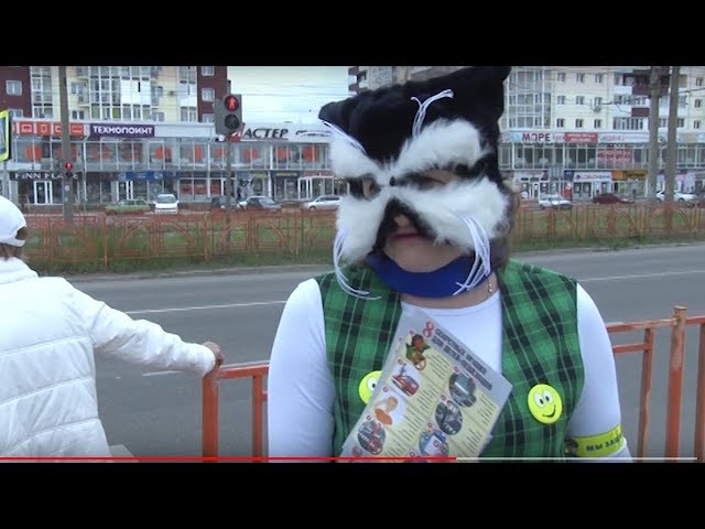 Кот Катафот научил детей ПДД