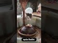 Mahadev Kedarnath Mahakaleshwar Shivling Shorts Video Status Channel Ko Subscribe Karna