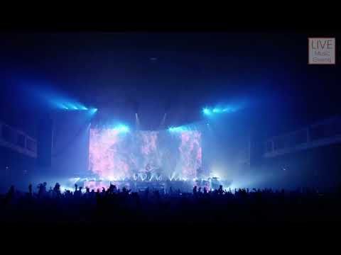 [라이브] Gryffin - Whole Heart [Live Performance/가사/해석/자막/lyrics]