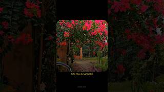 NAZAR NA LAG JAAYE SONG STATUS FULL SCREEN #ashking