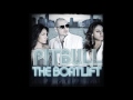 Pitbull - The Truth