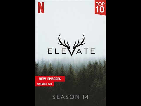 ELEVATE vs POE VibeZ x CIR vs M3R - Open World fight | Albion Online | ZvZ | Tank | Hand of Justice