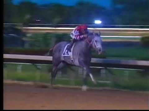 Hipismo - Borrascoso gana Clasico y Establece Nueva Marca de Pista.
