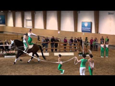 Pferd International 2014 - Gut Waffenschmiede Junior I