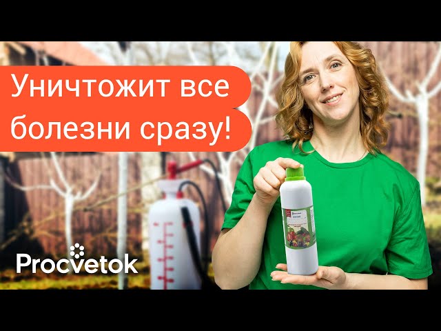 ПЕРВАЯ И САМАЯ ВАЖНАЯ ОБРАБОТКА САДА ВЕСНОЙ от болезней! Вот чем лучше всего опрыскать сад в марте