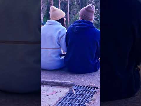 VIVIR LA PAZ! #vlog #youtubeshorts #streamer