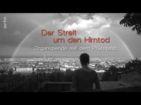 Der Streit um den Hirntod   ARTE