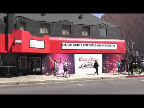 Thumbnail for Up in Smoke || Cheech Marin & Tommy Chong: Green Carpet & Ceremony B-Roll || SocialNews.XYZ by Tommy Chong