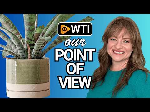 HERDUK 6 Inch Plant Pots - WTI product video review