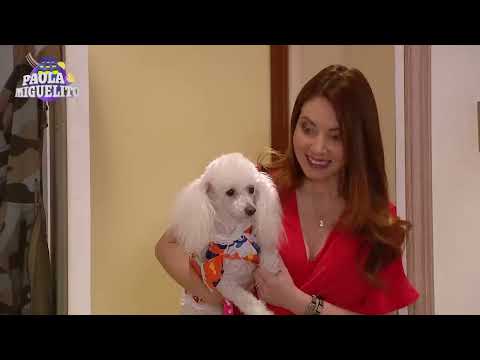 Paola y Miguelito / Capítulo 3 / Mega