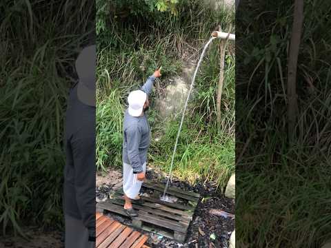 Riqueza Pedro Canário Espírito Santo