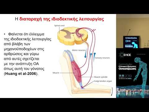 Γαλανόπουλος Ν. - Αιτιοπαθογένεια οστεοαρθρίτιδας