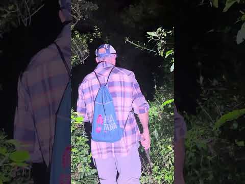 A Mata simplesmente se Fechou: #shortsviral #riograndedosul  #shortsviral #trilha